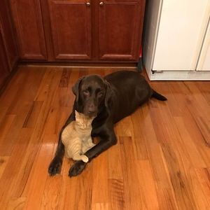 Meet your Posher, Sandra